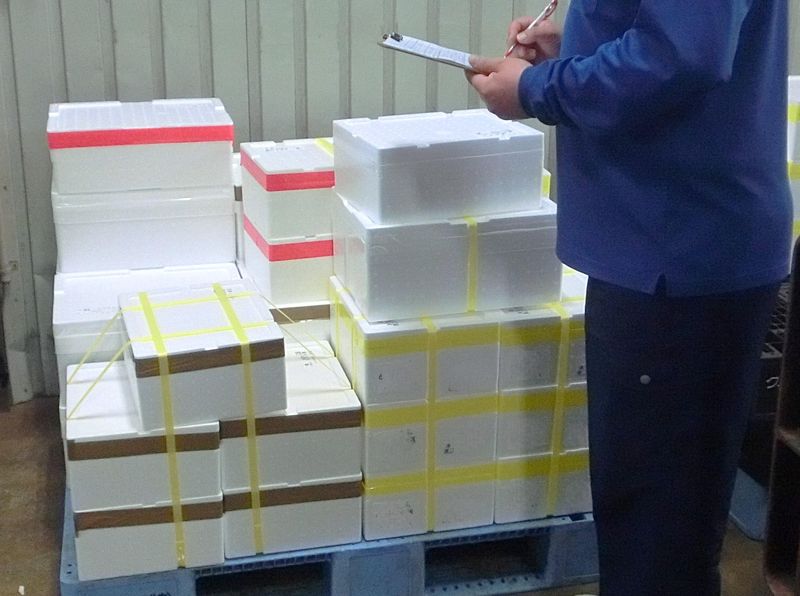 株式会社クニヒロ　本社工場(水産第一工場)のアルバイト・バイト求人情報-02