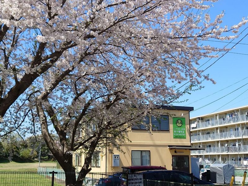 元気庵　新千種町店のアルバイト・バイト求人情報-04