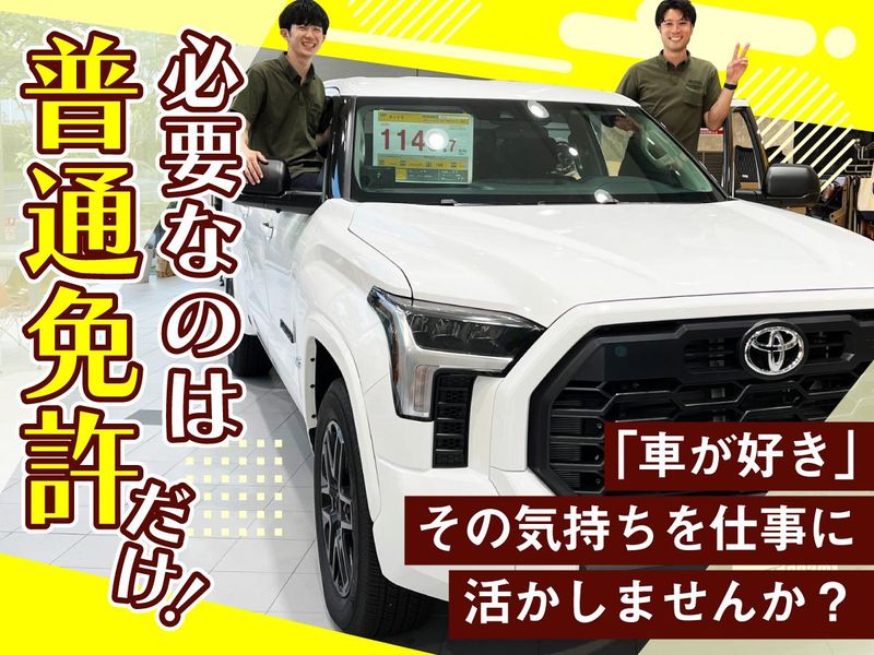 株式会社ドリーム・トレーディングの求人・転職情報