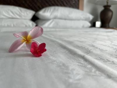 コンフォートホテル札幌すすきの(株式会社北海道ダイケン)のアルバイト・バイト求人情報-02