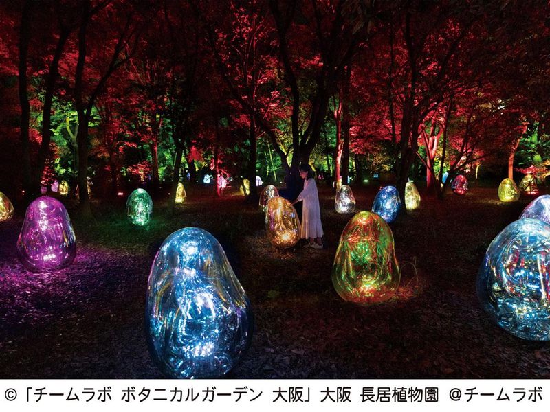 長居植物園の派遣求人情報