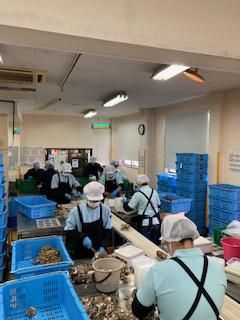 有限会社中山食茸の派遣求人情報