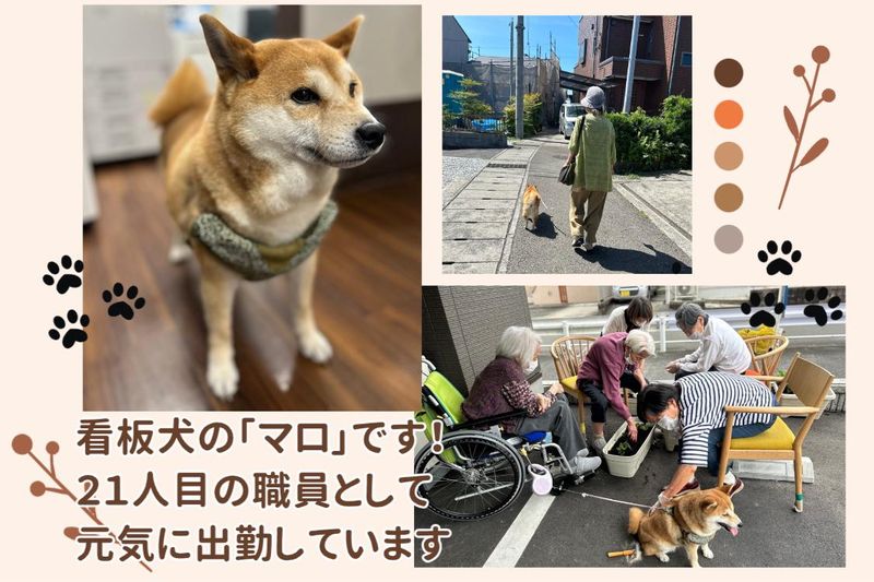 小規模多機能ホーム丸子の里和ははのアルバイト・バイト求人情報-03