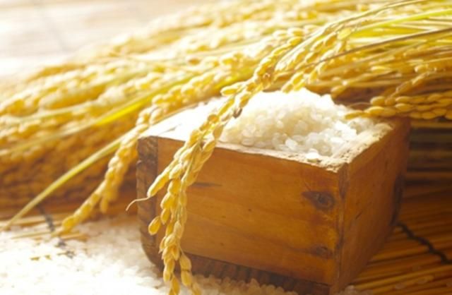 株式会社小田急プラネットの派遣求人情報