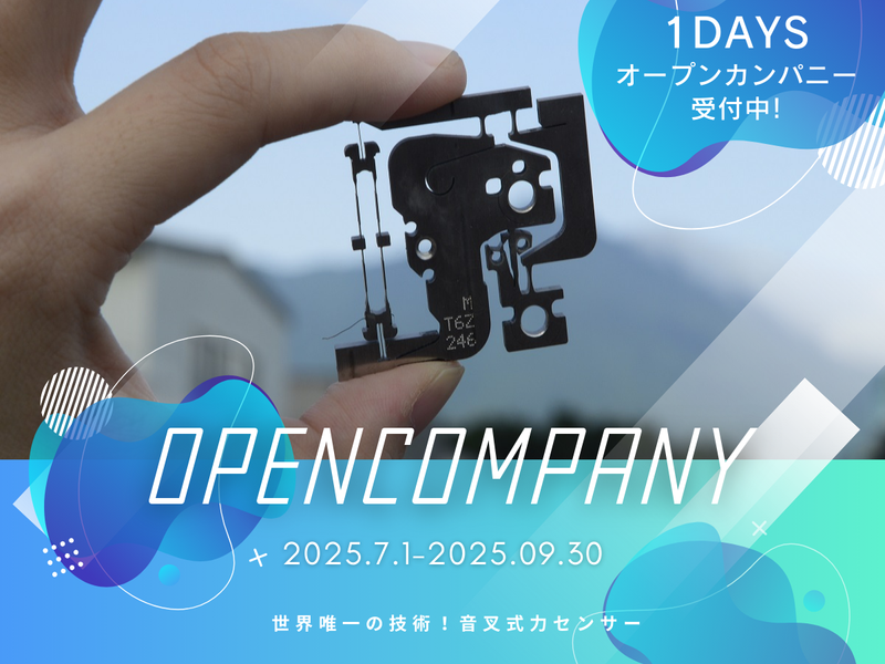 新光電子株式会社