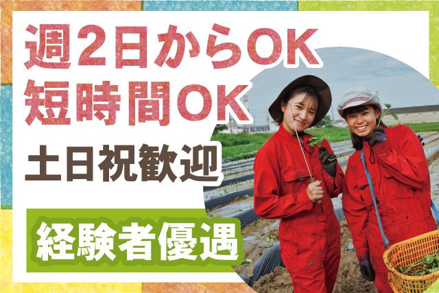 株式会社なめがたしろはとファームのアルバイト・バイト求人情報-06