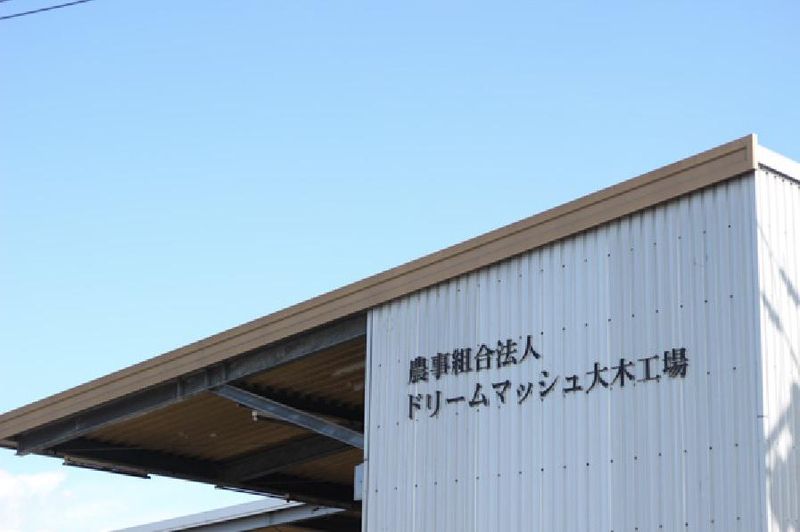 株式会社　ドリームマッシュの求人・転職情報