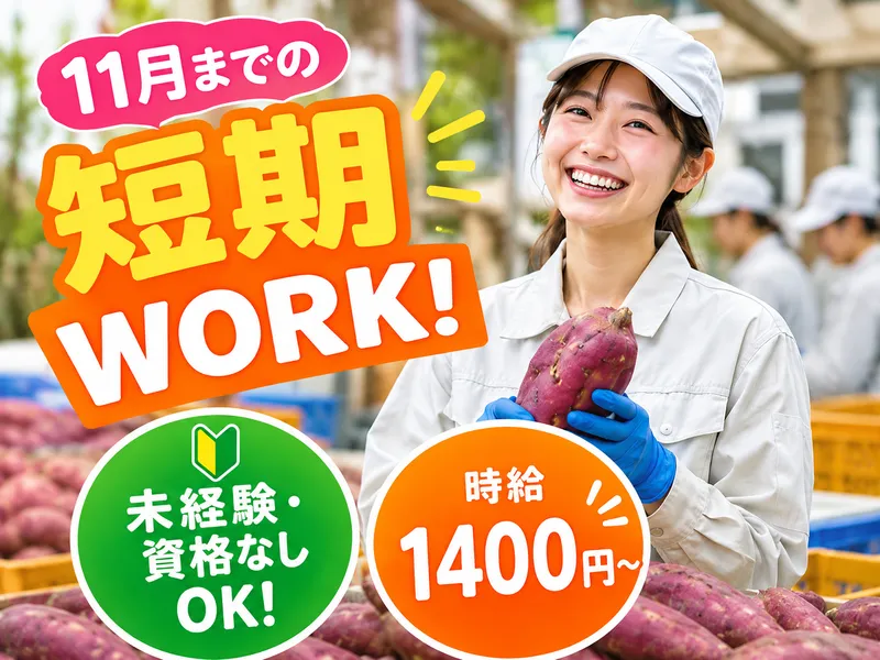 株式会社アシストジャパンB3752-5-5 KGのアルバイト・バイト求人情報-01