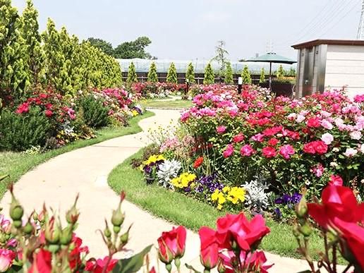 サニープレイス松戸のアルバイト・バイト求人情報-03