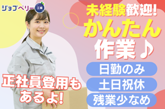 シーデーピージャパン株式会社