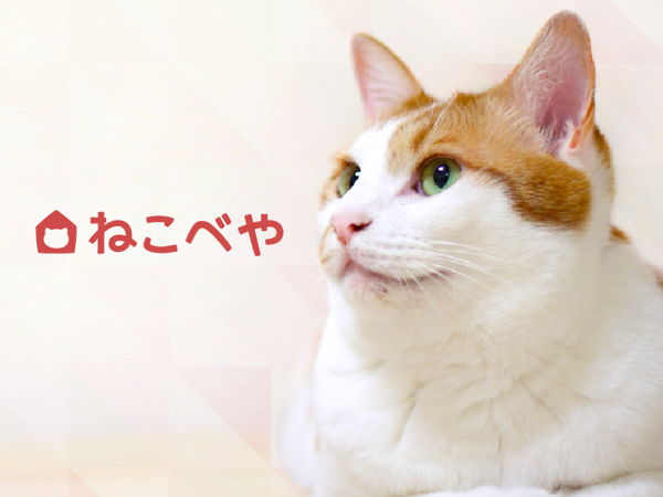 株式会社ペチカの求人・転職情報