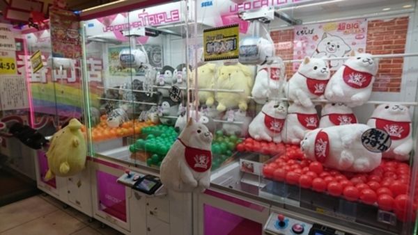 株式会社山崎屋(レジャーランド御経塚店)の求人情報