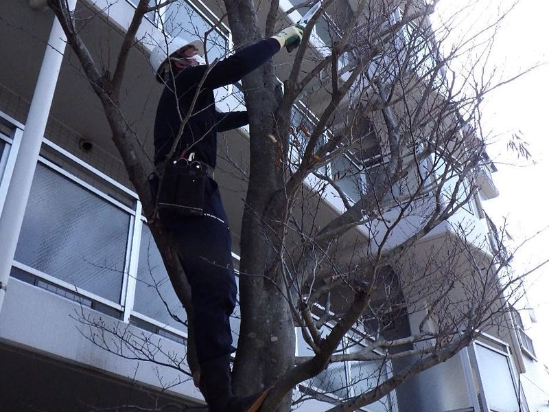 引野造園株式会社の求人・転職情報