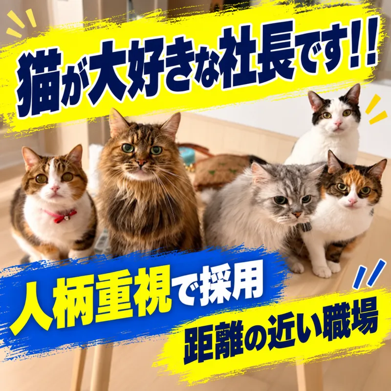 株式会社ミューズの求人・転職情報
