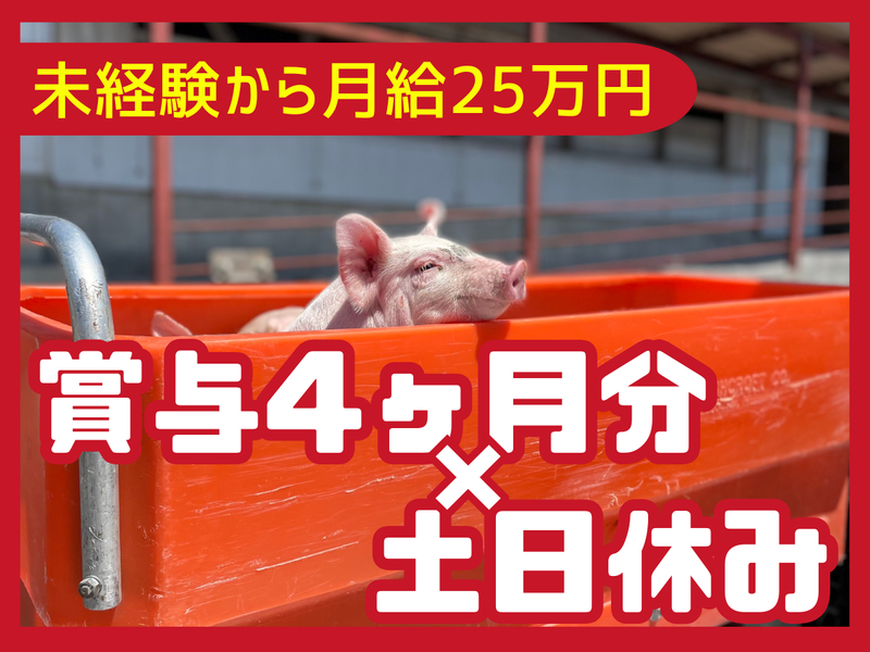 有限会社松葉ピッグファームの求人・転職情報