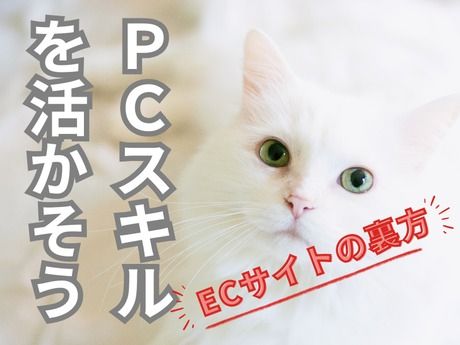 株式会社トムキャットの求人・転職情報