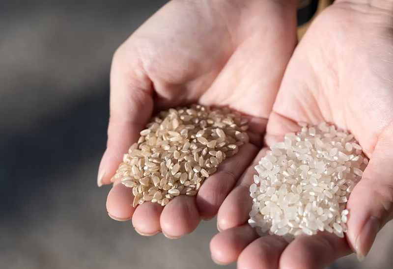 株式会社ハンドトゥハンドの求人・転職情報