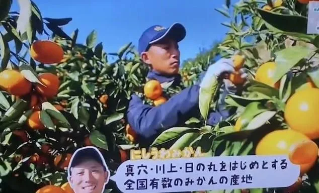 株式会社シトラスメイトのアルバイト・バイト求人情報-02