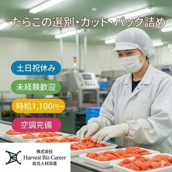 株式会社Harvest Biz Careerのアルバイト・バイト求人情報