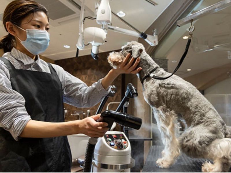 株式会社ホテルニューアワジ神戸の求人・転職情報