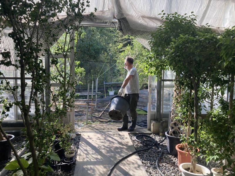 株式会社ユニバーサル園芸社　上川井温室の派遣求人情報