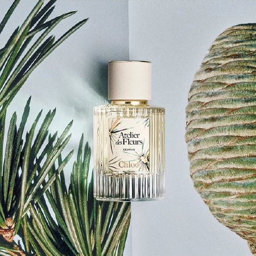 コティジャパン合同会社のアルバイト・バイト求人情報-04