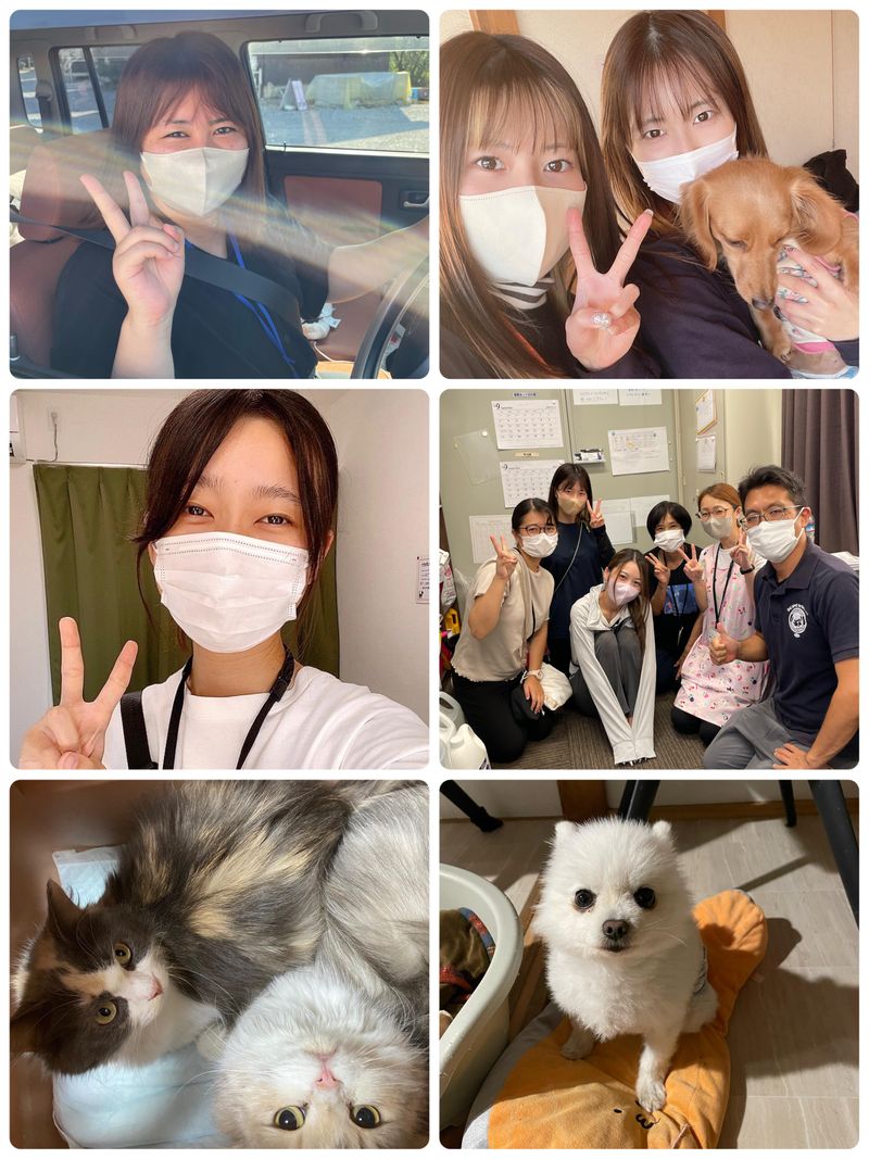 NEONSTEP株式会社のアルバイト・バイト求人情報-10