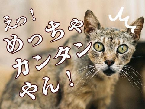 株式会社ホットスタッフ五日市(356)のアルバイト・バイト求人情報-03