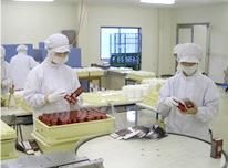 株式会社コーワの求人・転職情報