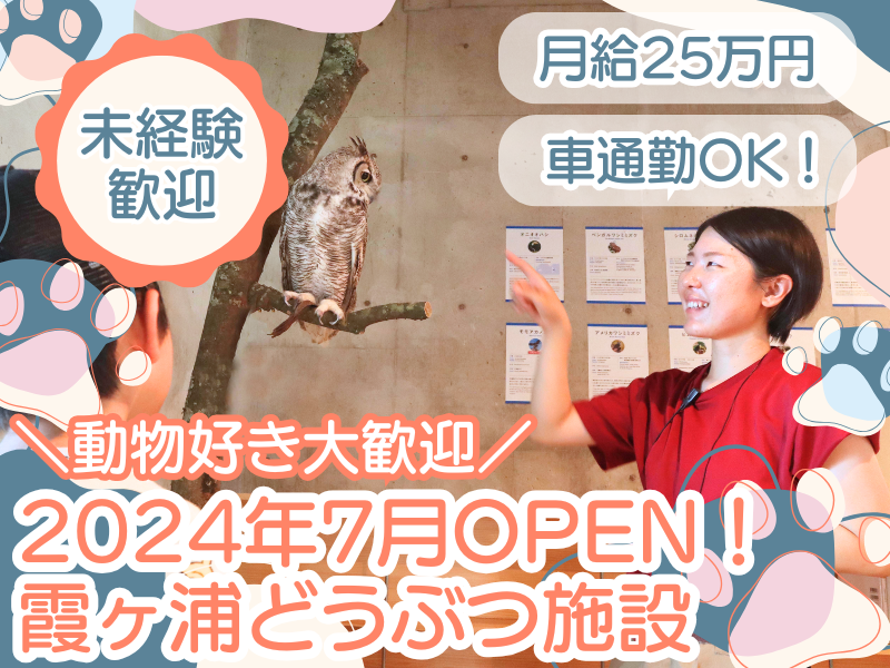 株式会社MOFFの求人・転職情報