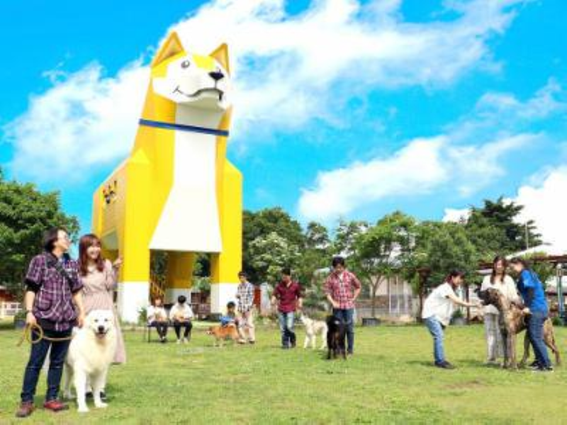 株式会社つくばわんわんランドの求人・転職情報