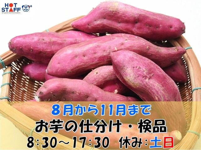 株式会社ホットスタッフ宮崎