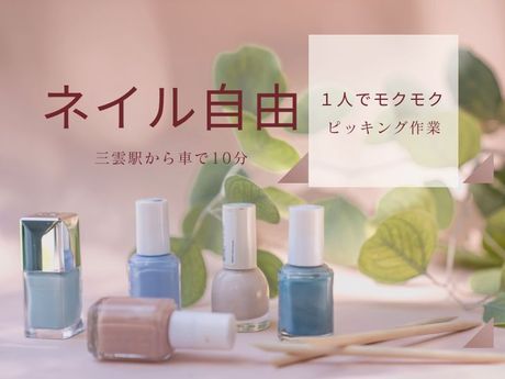 株式会社ジョブクルーの求人・転職情報