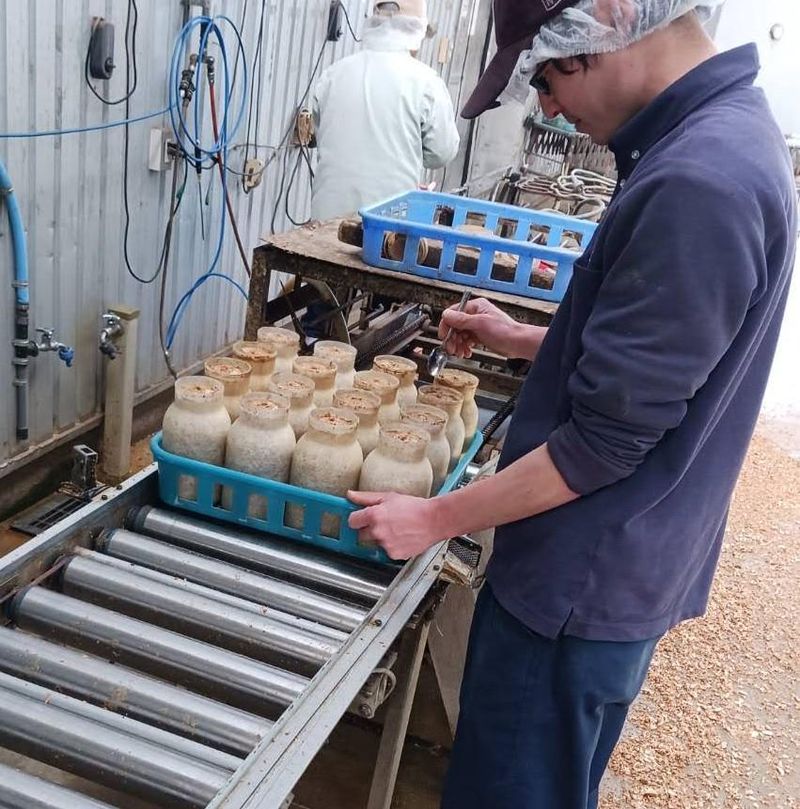 株式会社ドリームマッシュ　本社工場