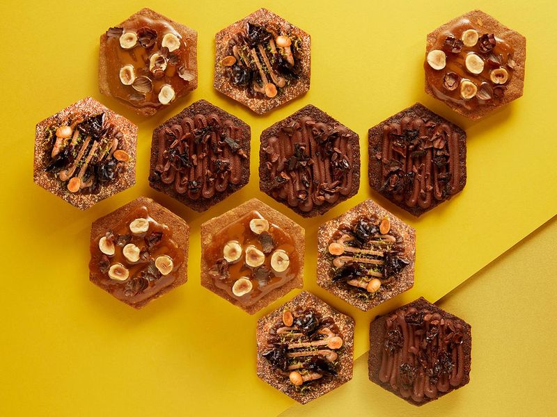 株式会社スティルフーズの求人・転職情報