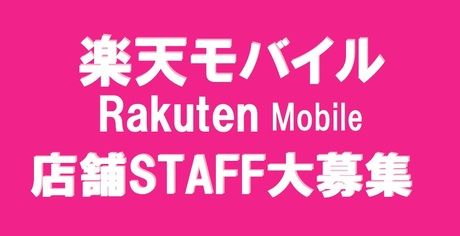 株式会社マイクロスタッフィングサービスの求人2