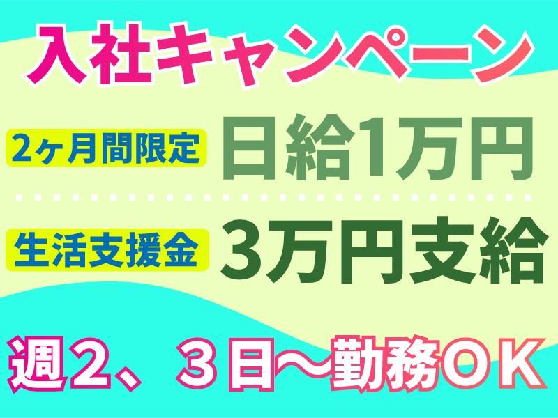 株式会社パルズパートナー