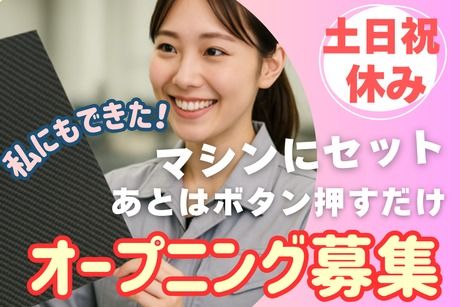 株式会社ヒューマンアイズの求人・転職情報