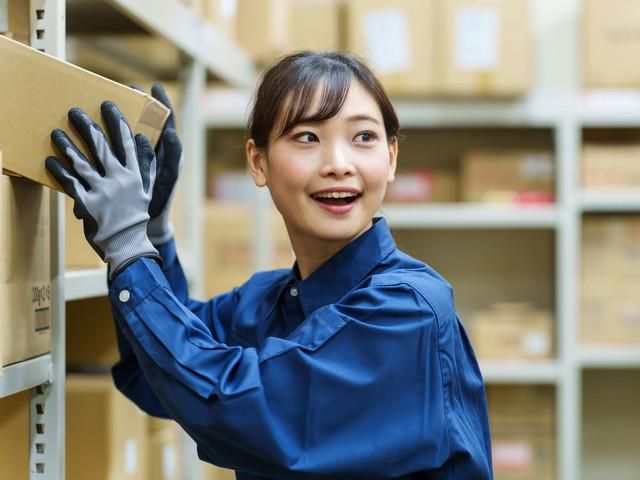 株式会社マッシュの求人・転職情報