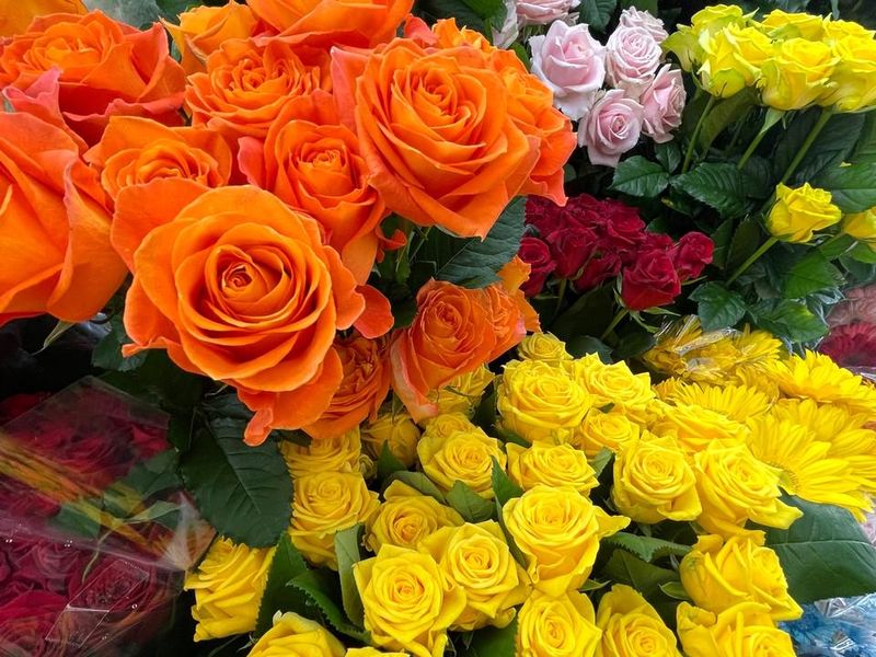 有限会社フラワーショップ四季のアルバイト・バイト求人情報-02