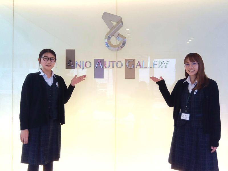 株式会社メルクリウスの求人・転職情報