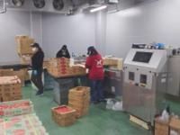 株式会社フレッシュ中里　桐生第二工場のアルバイト・バイト求人情報-03