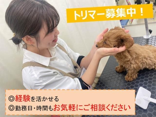 株式会社コメリの求人・転職情報