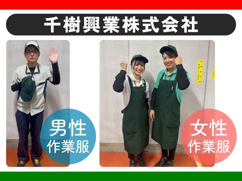 千樹興業株式会社の求人・転職情報