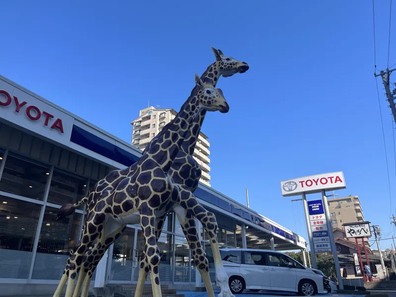 トヨタモビリティ東名古屋株式会社の求人・転職情報