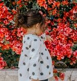 株式会社インター・ベルの派遣求人情報