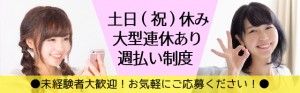 ヒューマンブリッジ株式会社の求人情報