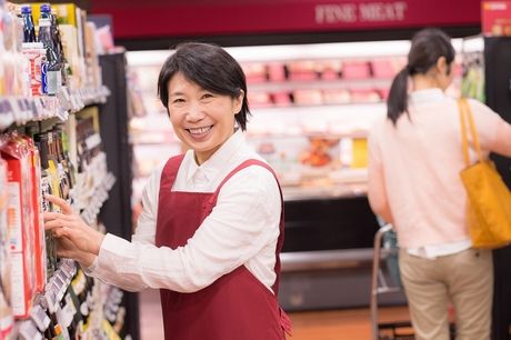 派遣のニコス(日本コンピューターシステム株式会社)のアルバイト・バイト求人情報-02