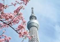 シンテック株式会社　本社のアルバイト・バイト求人情報-02