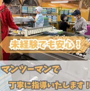 株式会社タカムラ/塩谷エッグファームのアルバイト・バイト求人情報-02